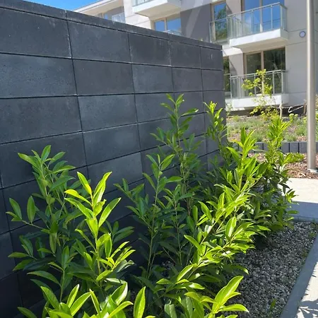 Gaja * Świnoujście